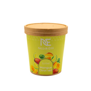 SORBET MANGUE CITRON VERT